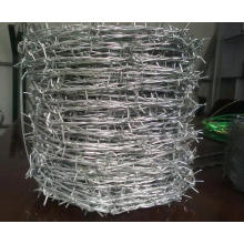 Hot Dipped Galvanized Concertina Barbed Wire